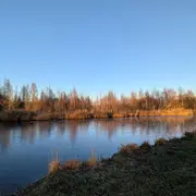 Sortie nature à Liesse-Notre-Dame : Monde de la nuit