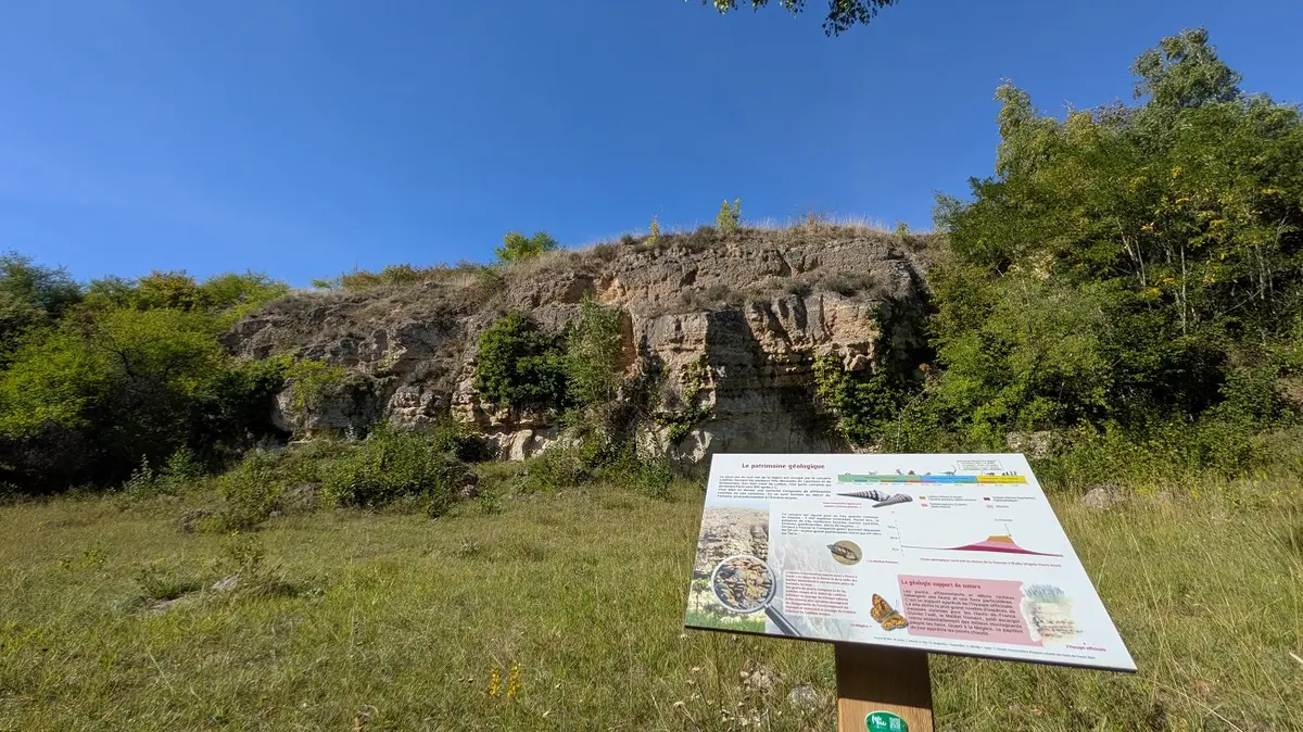 Sortie nature à Oeuilly : Un peu de géologie en bonne compagnie !