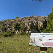 Sortie nature à Oeuilly : Un peu de géologie en bonne compagnie !