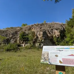 Sortie nature à Oeuilly : Un peu de géologie en bonne compagnie !
