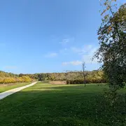 Sortie nature à Vauclair : Arbres, fruits forestiers et cycle de la matière