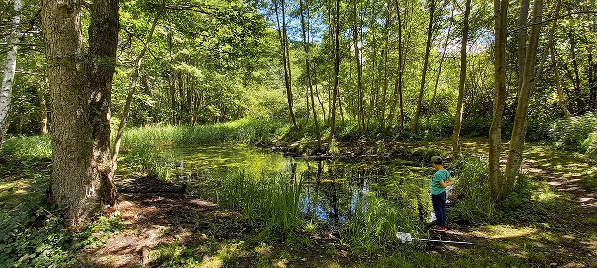 Sortie nature à Vauclair : Les dents de la mare