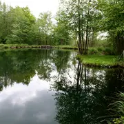 Sortie nature à Vesles-et-Caumont : Découverte de la réserve