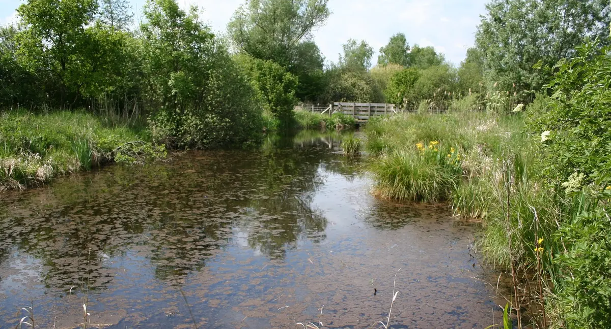 Sortie nature à Vesles-et-Caumont : Découverte de la réserve