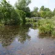 Sortie nature à Vesles-et-Caumont : Découverte de la réserve