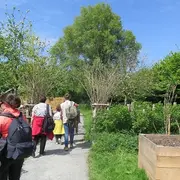 Sortie nature adaptée en famille