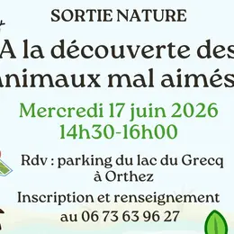 Sortie nature : Animaux mal aimés