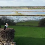 Sortie nature > Au château des cigognes
