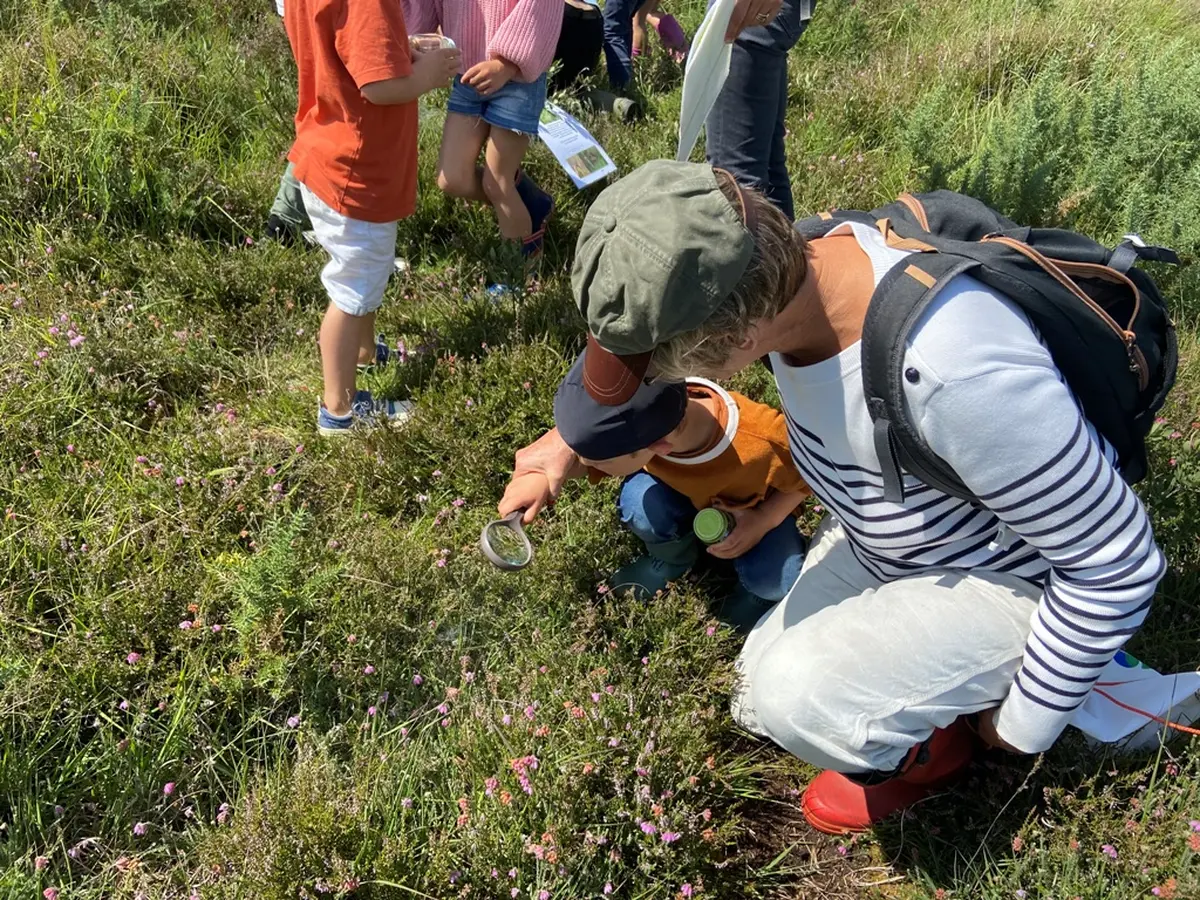Sortie nature : Au pays des plantes carnivores
