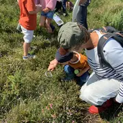 Sortie nature : Au pays des plantes carnivores