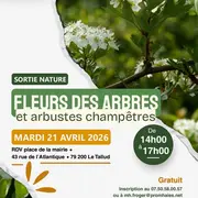 Sortie Nature au Tallud