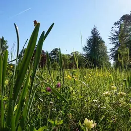 Sortie Nature avec Berry Nature Environnement