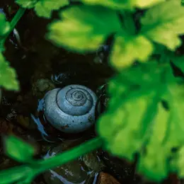 Sortie nature avec le CEN Nouvelle-Aquitaine