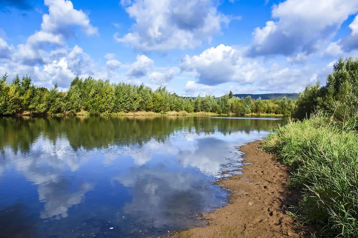 Sortie nature avec le CEN Nouvelle-Aquitaine