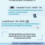 Sortie nature avec le Centre de la Mer