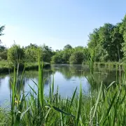 Sortie nature avec le Syndicat du Moron