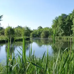 Sortie nature avec le Syndicat du Moron