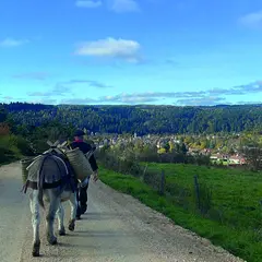 Sortie Nature : Balade Avec Un âne