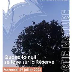 Sortie Nature : Balade Crépusculaire au Coeur de la Réserve Naturelle des Chaumes du Verniller