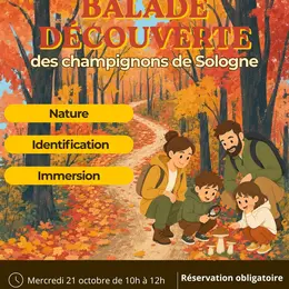 Sortie Nature : balade découverte des champignons