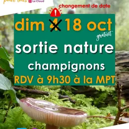 Sortie nature : champignons