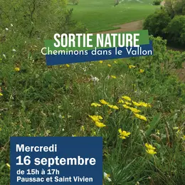 Sortie nature : Cheminons dans le Vallon