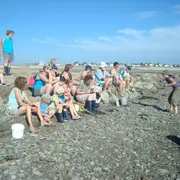 Sortie nature Coquillages et crustacés