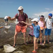 Sortie nature : Coquillages et crustacés