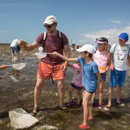 Sortie nature : Coquillages et crustacés