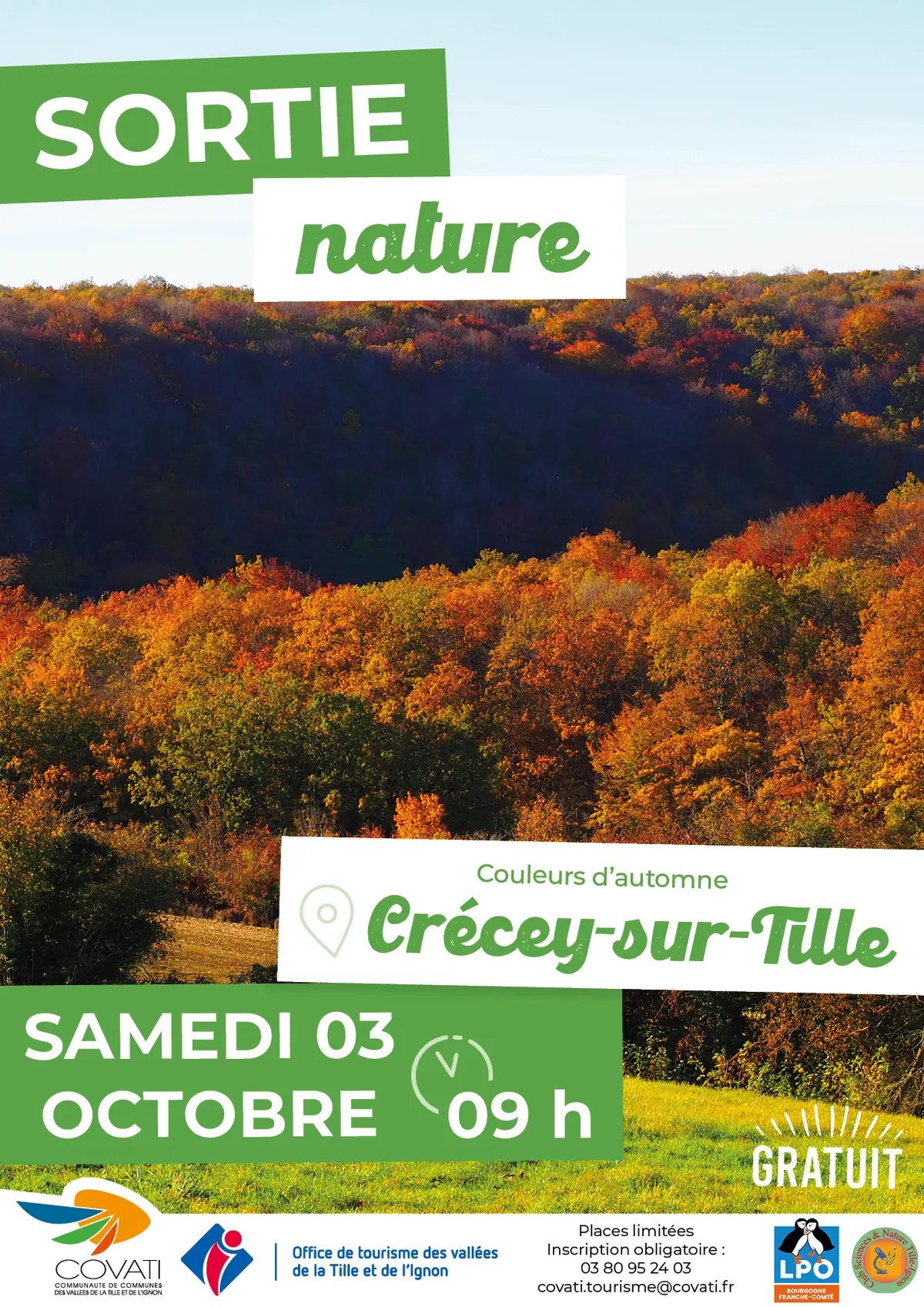 Sortie Nature : Couleurs d'automne