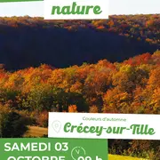 Sortie Nature : Couleurs d'automne