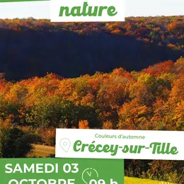 Sortie Nature : Couleurs d'automne