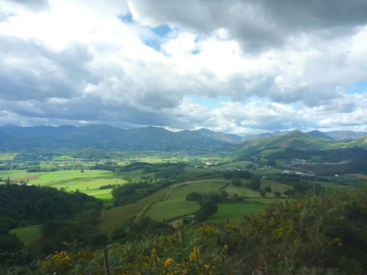 Sortie nature CPIE Pays Basque : Balade jusqu'aux sources de la Bidouze