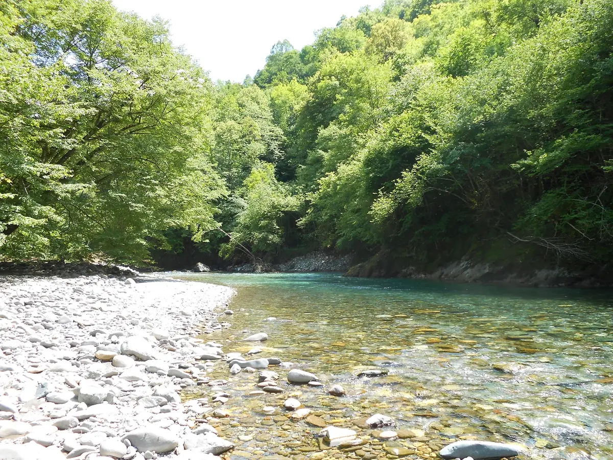 Sortie nature CPIE Pays Basque : Les petites bêtes aquatiques