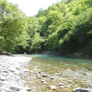 Sortie nature CPIE Pays Basque : Les petites bêtes aquatiques