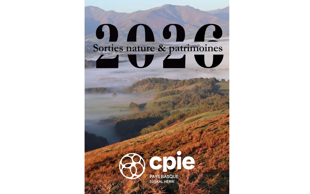 Sortie nature CPIE Pays Basque : Sur la trace des baveux