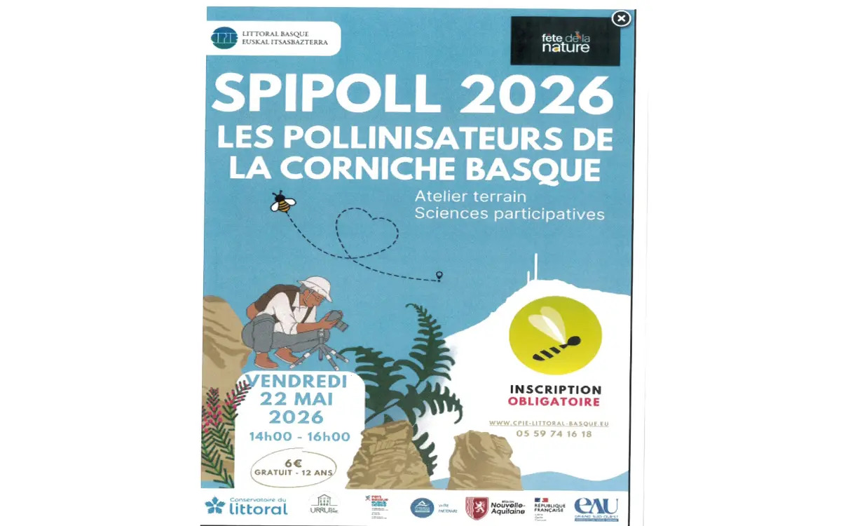 Sortie nature CPIE : SPIPOLL 2026 Les pollinisateurs de la corniche basque
