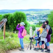 Sortie Nature - Cris Et Chants D'Oiseaux