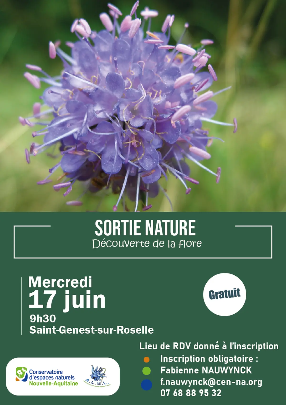 Sortie nature, Découverte de la flore