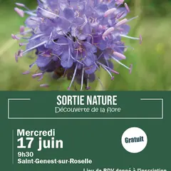 Sortie nature, Découverte de la flore