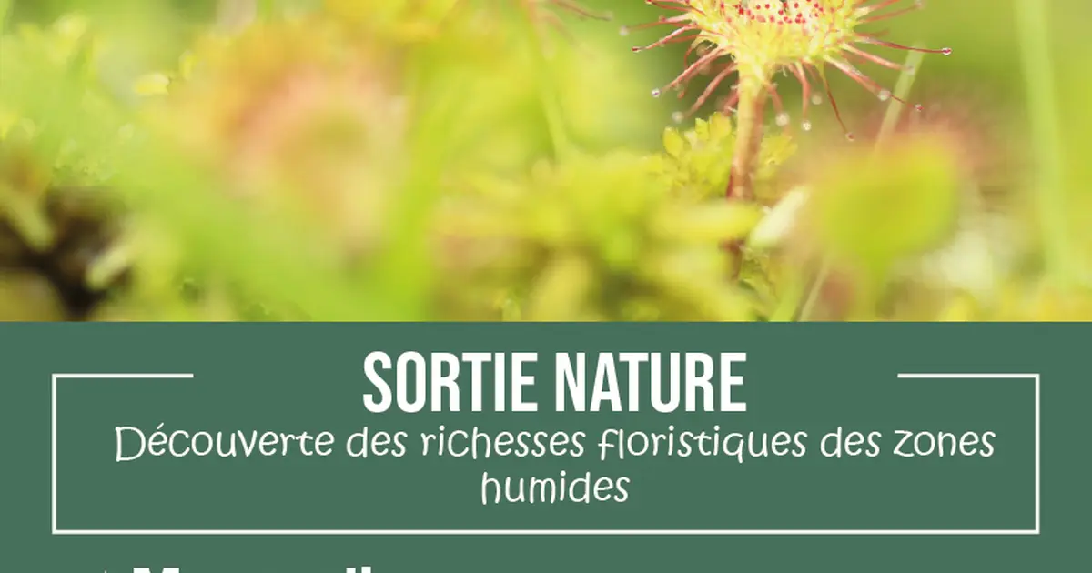 Sortie Nature : Découverte des richesses des zones humides
