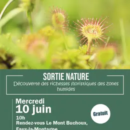 Sortie Nature :  Découverte des richesses des zones humides