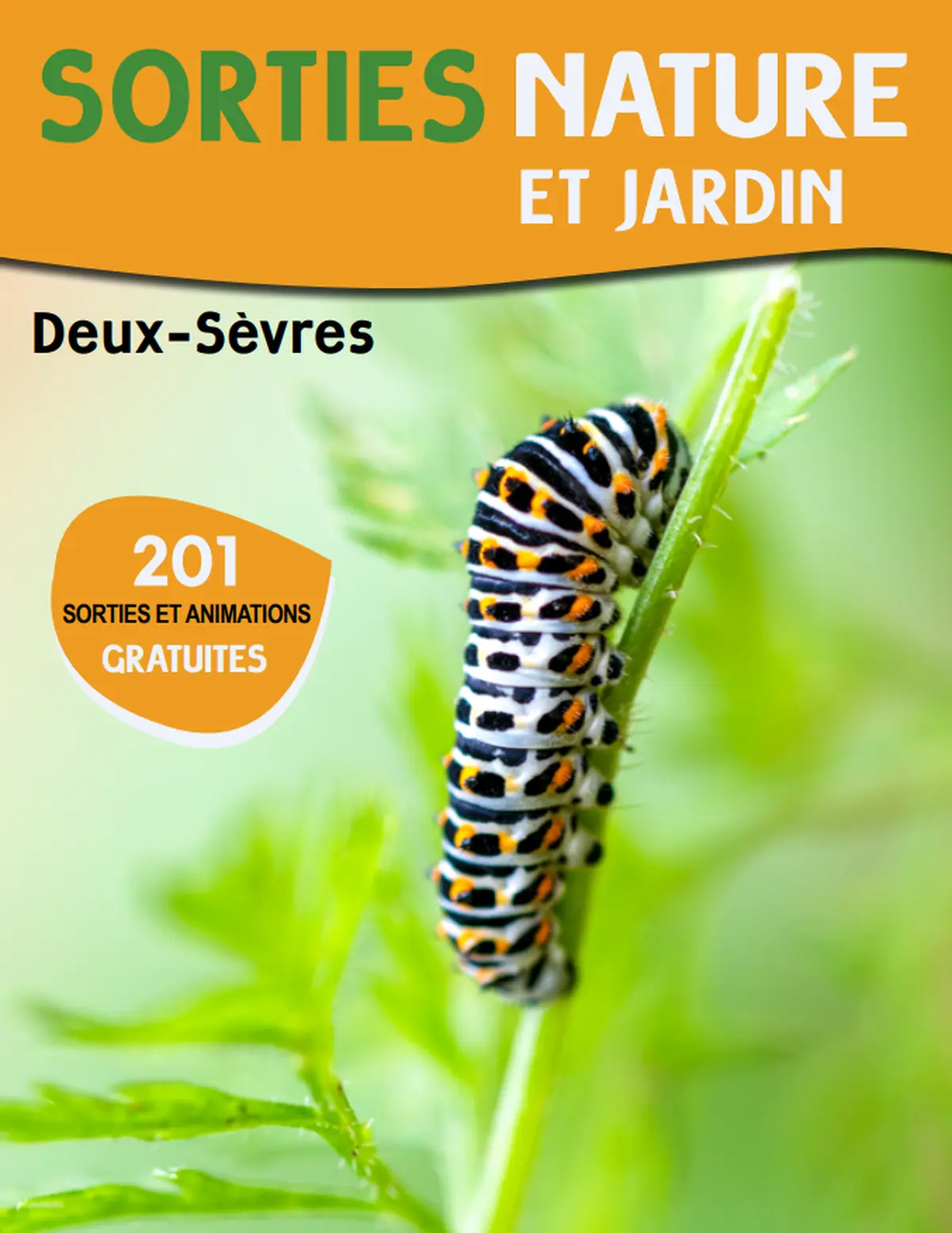 Sortie nature : Découverte et étude des reptiles