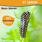 Sortie nature : Découverte et étude des reptiles