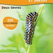 Sortie Nature : Départ En Migration
