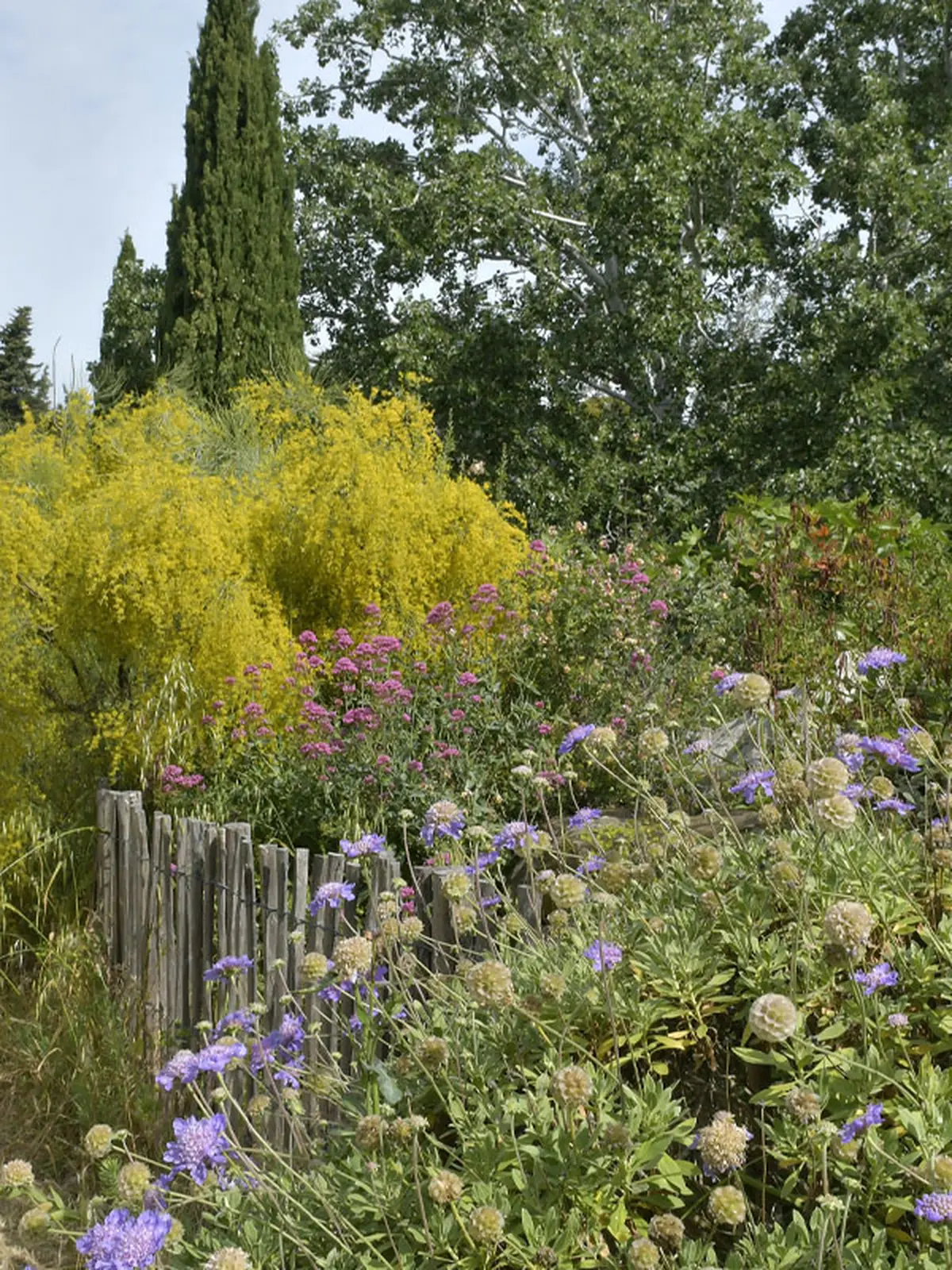 Sortie nature du Muséum - Borély, jardin botanique et bords de l'Huveaune (Marseille)