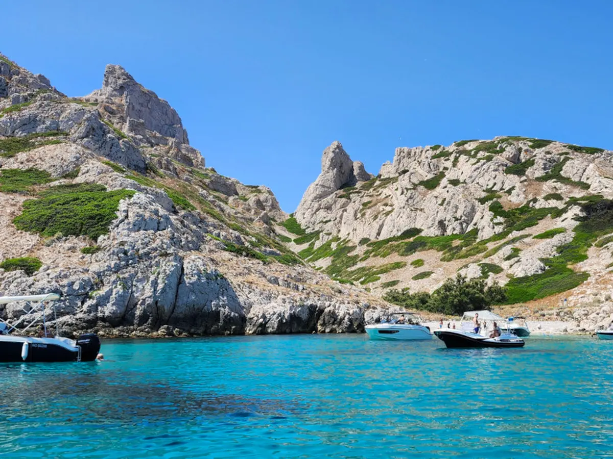 Sortie nature du Muséum : îles de Marseille