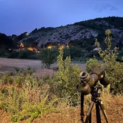 Sortie nature du Muséum : observation d'oiseaux nocturnes