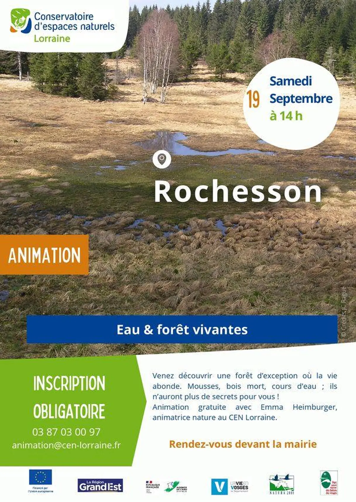 Sortie nature eau et forêt vivantes