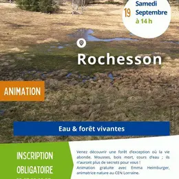 Sortie nature eau et forêt vivantes